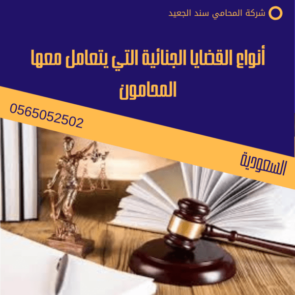 أنواع القضايا الجنائية التي يتعامل معها المحامون