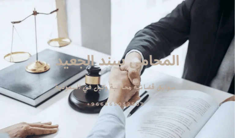 سوابق قضائية محاسبة وكيل في السعودية 449 سوابق قضائية محاسبة وكيل في السعودية