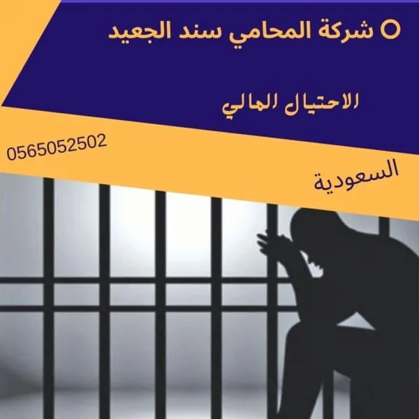 لائحة دعوى نصب واحتيال 2 الاحتيال المالي