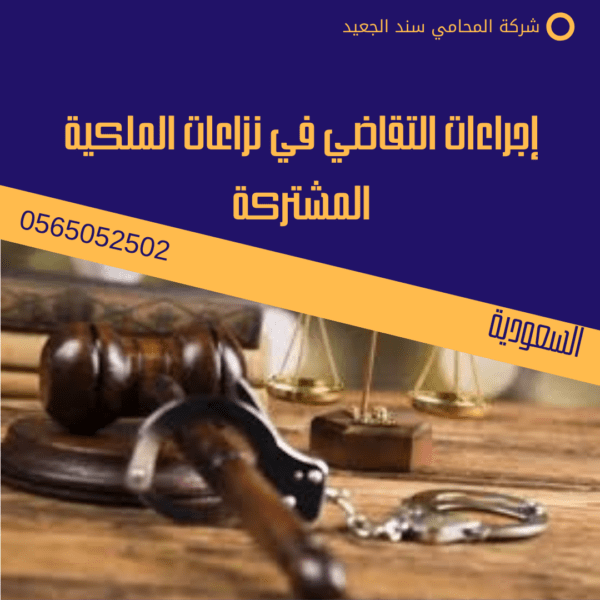 إجراءات التقاضي في نزاعات الملكية المشتركة